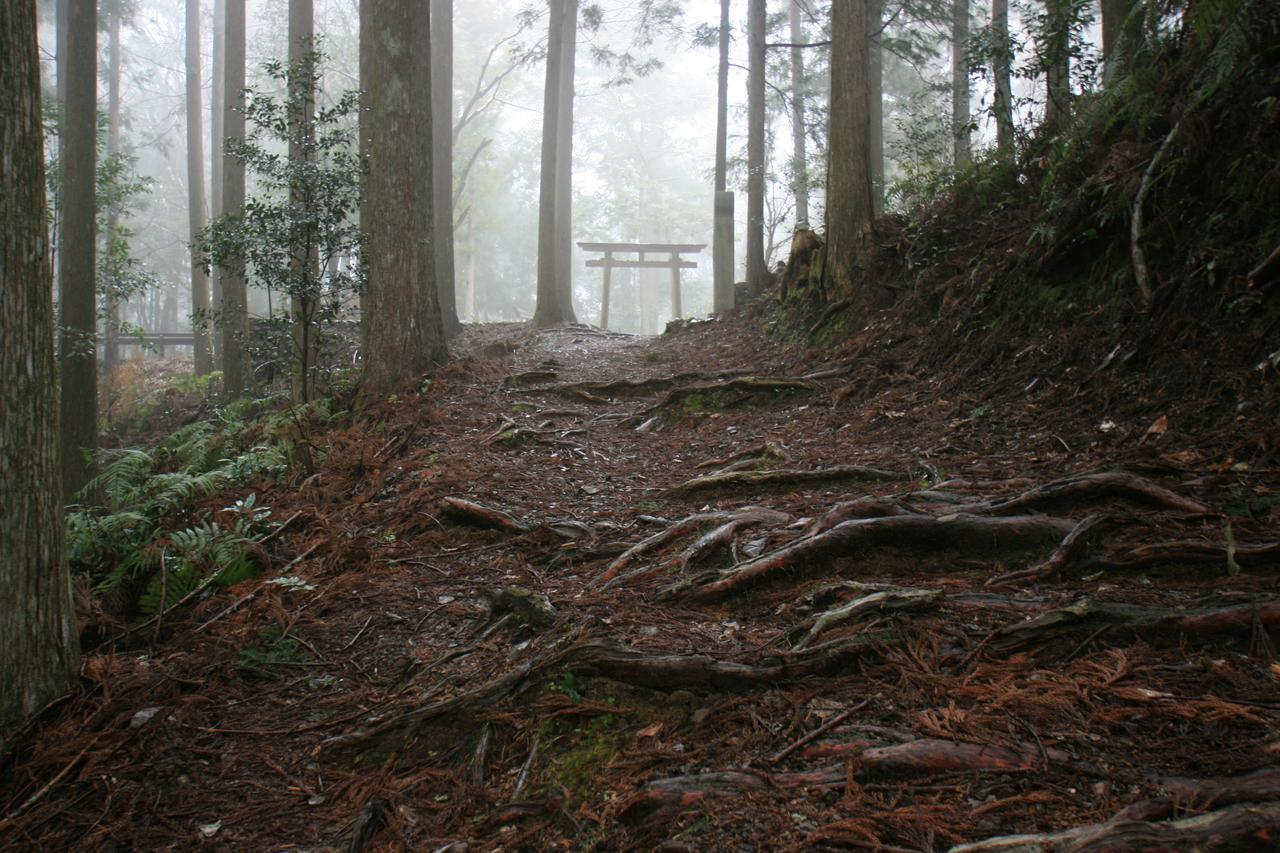 Watarase Onsen Hotel Yamayuri Hongu Esterno foto